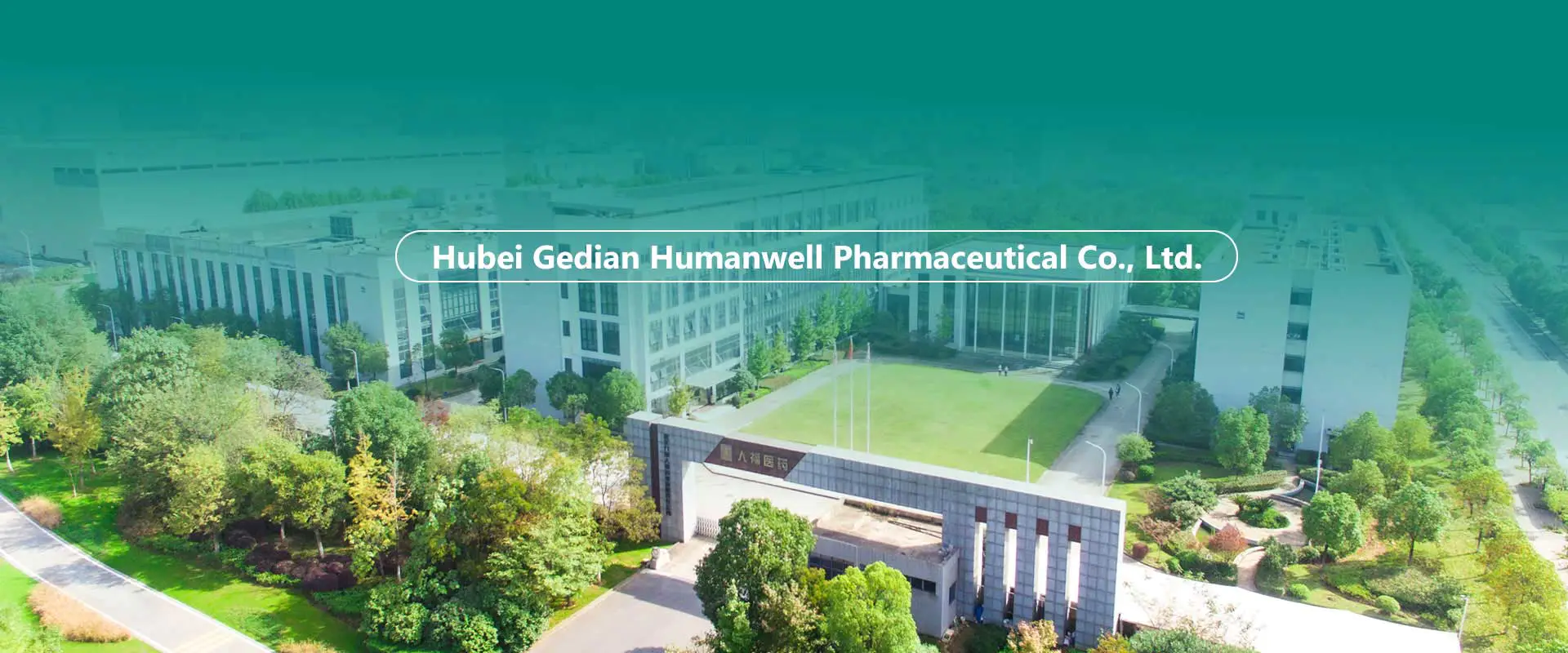 চায়না এপিআই, ইন্টারমিডিয়েটস, ফর্মুলেশন ফ্যাক্টরি