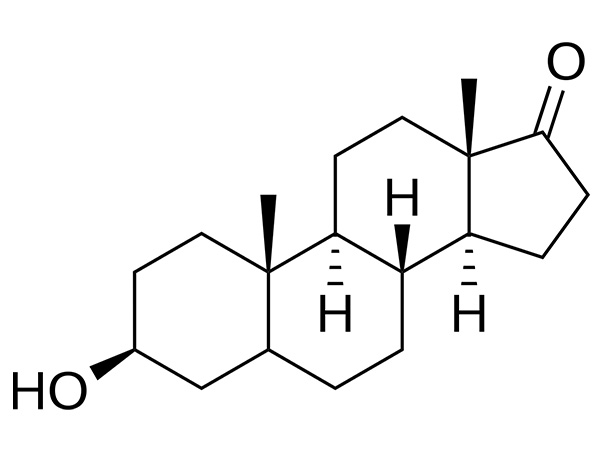 Epiandrosterone কি এবং কেন এটি আধুনিক হরমোন গবেষণায় জনপ্রিয় হয়ে উঠছে