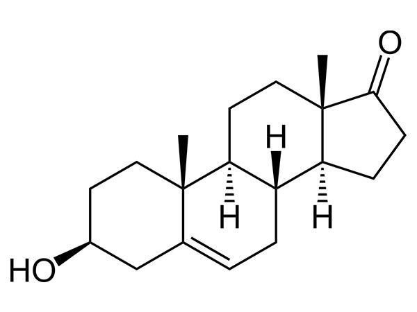 DHEA (প্রেস্টেরন)